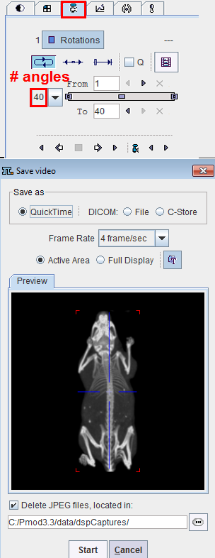 PFUS MIP Movie