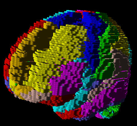 AAL Outline Contours Rendered in 3D